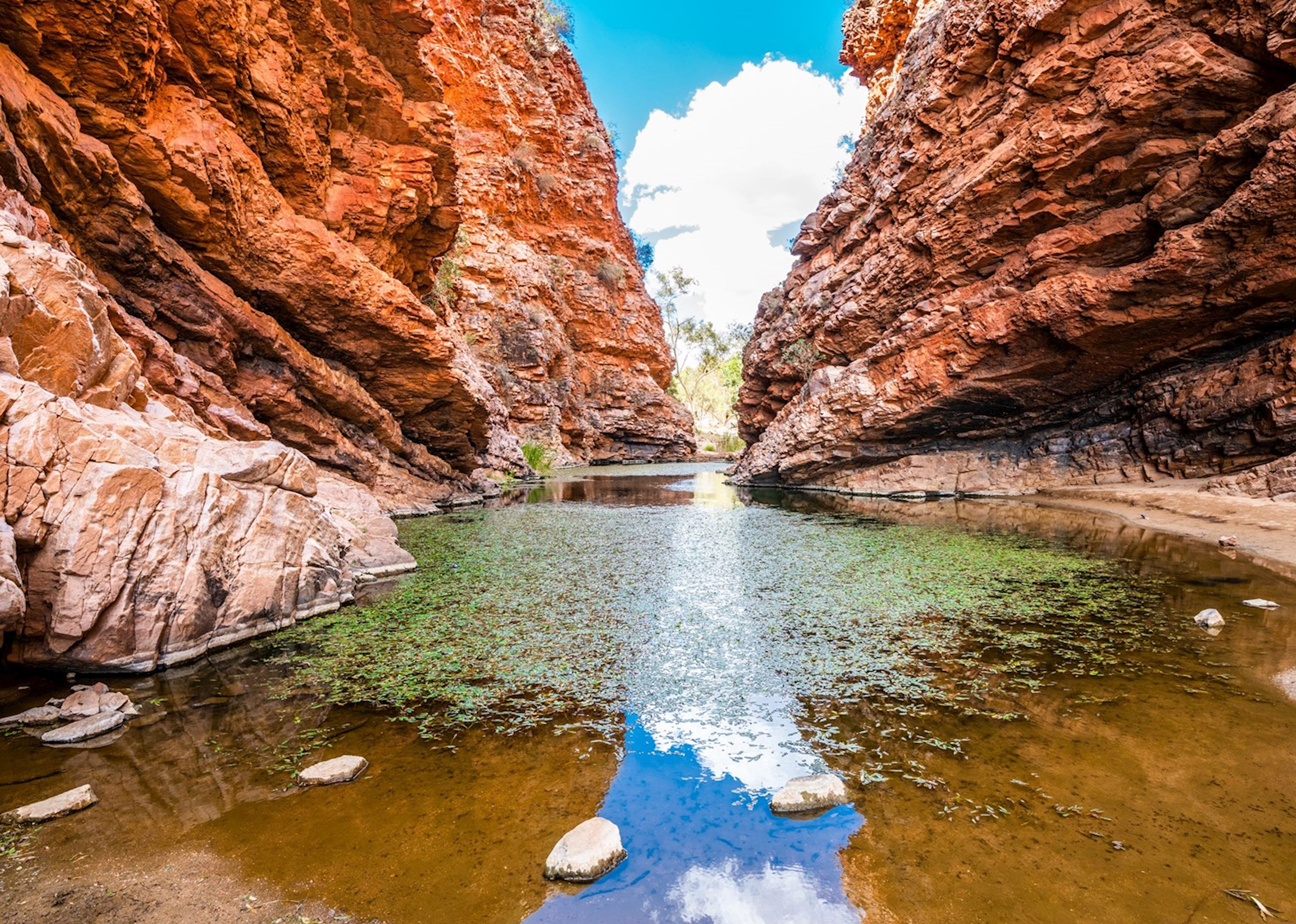 Majestic view of the MacDonnell Ranges in Alice Springs, Australia